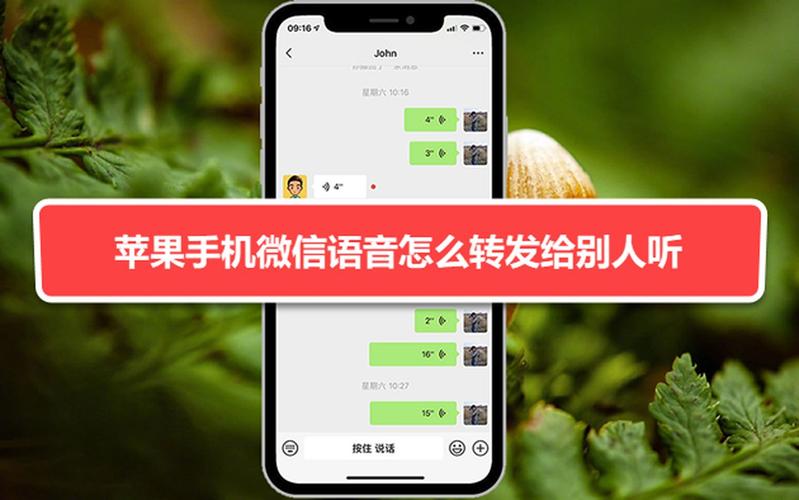 如何转发微信语音？微信语音消息转发方法一览-图2