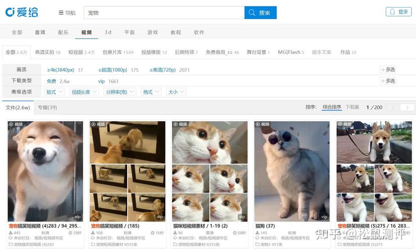 如何剪辑宠物日常视频？简单步骤与技巧分享-图3