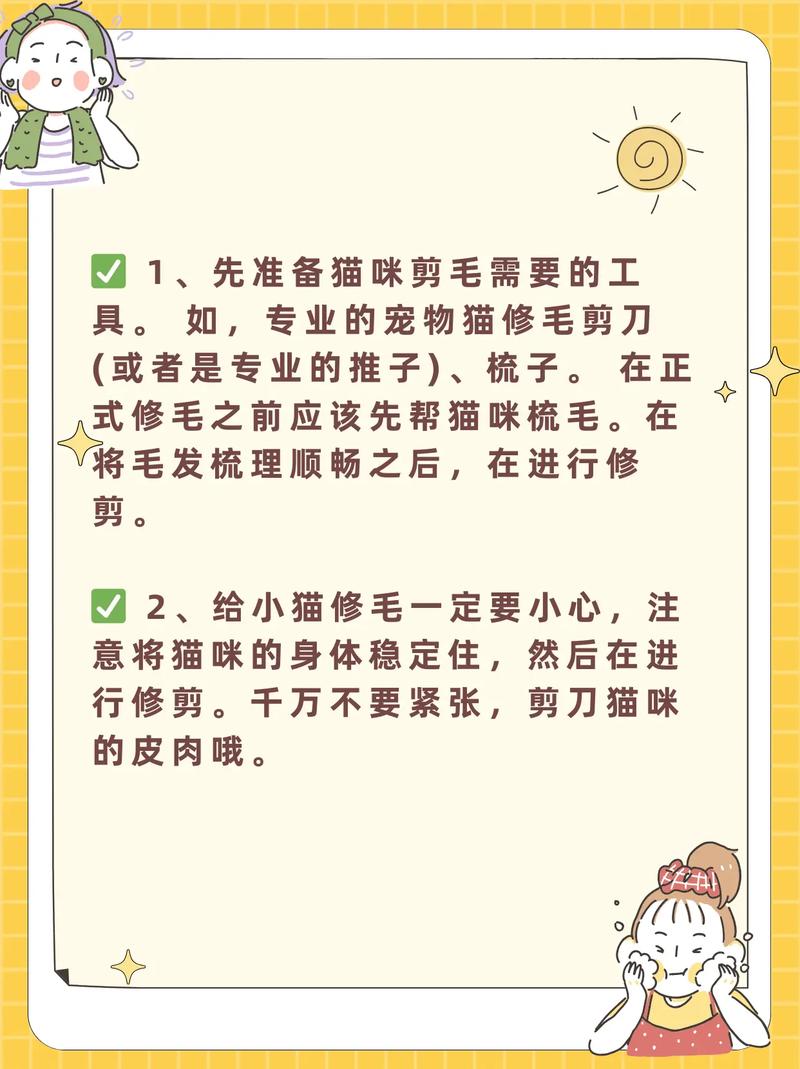 如何剪辑宠物日常视频？简单步骤与技巧分享-图1