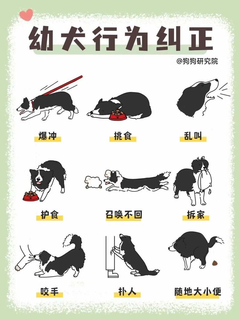 如何剪辑宠物日常视频？简单步骤与技巧分享-图2