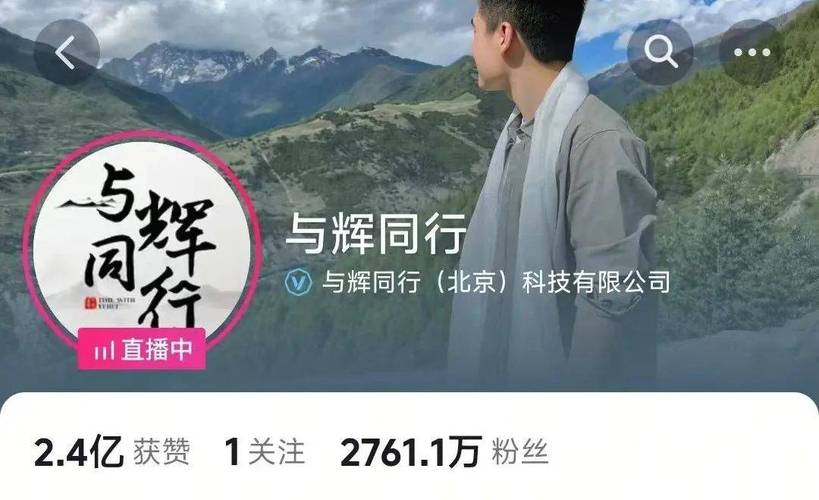 抖音20万粉丝推广价格及免费下单平台优惠-图2