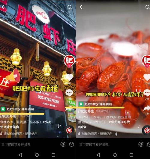 抖音20万粉丝推广价格及免费下单平台优惠-图3