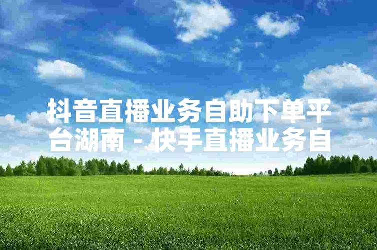 快手直播上人气网站,直播间人气自助下单包月-图2