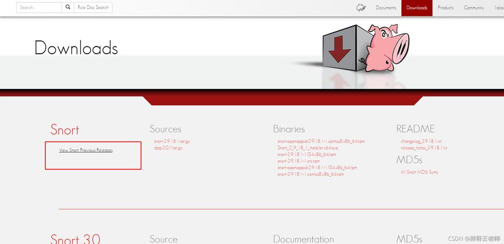 如何在CentOS上安装Rsync？分步指南-图1