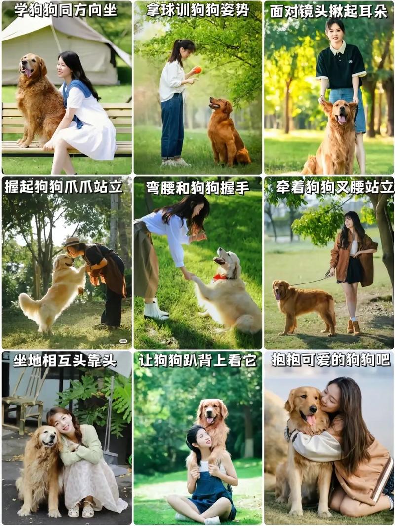 怎样剪辑人和宠物的视频？- 简单步骤与技巧分享-图1