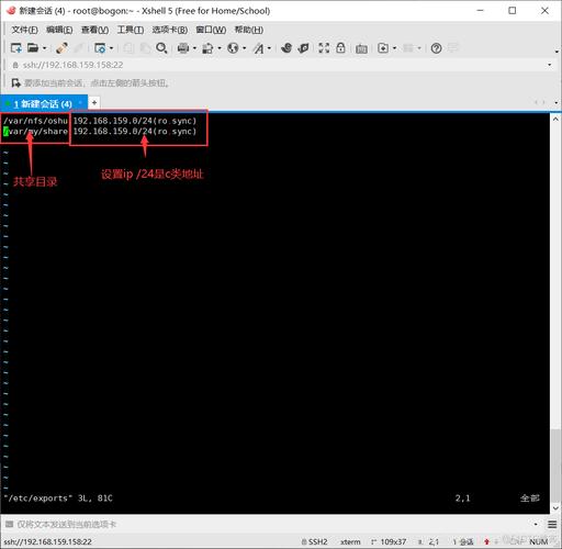 CentOS系统NFS共享配置与客户端接入指南-图2