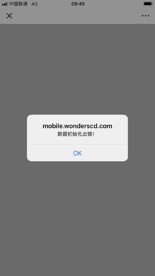 JSP 503错误解析与解决策略-图1