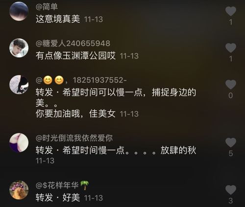 抖音一键点赞播放量自助平台免费试用-图3