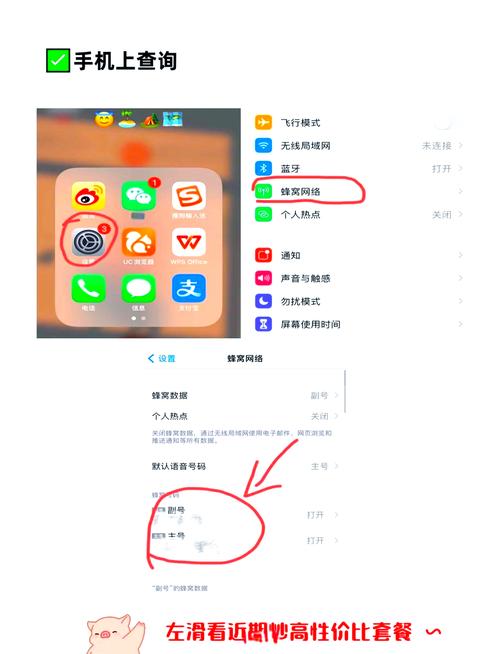 手机号码查询攻略,全面掌握本机号码查询方法-图2 手机号码查询攻略,全面掌握本机号码查询方法-图2