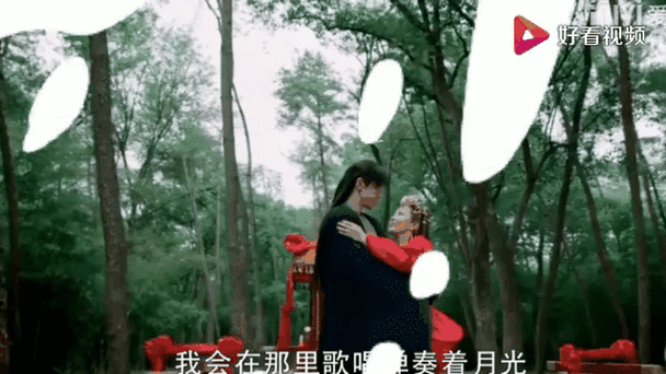 重逢时刻，视频剪辑的温馨技巧解析-图3