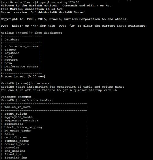 MariaDB启动故障解析,常见错误处理与修复指南-图1 MariaDB启动故障解析,常见错误处理与修复指南-图1