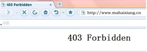 轻松解决网站403 Forbidden错误，原因解析与修复攻略-图3