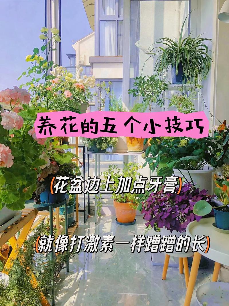 养花视频剪辑速成指南，轻松掌握剪辑技巧-图3