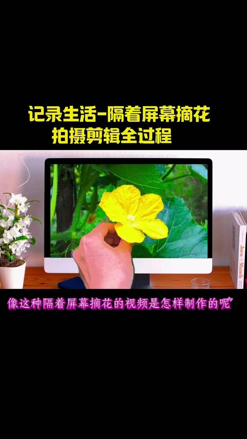 养花视频剪辑速成指南，轻松掌握剪辑技巧-图1