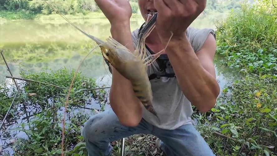 钓虾视频剪辑技巧，轻松捕捉精彩瞬间-图3