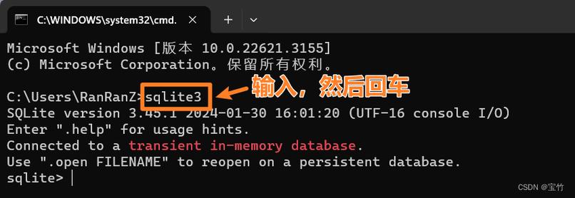 SVN安装错误排查与解决指南-图3
