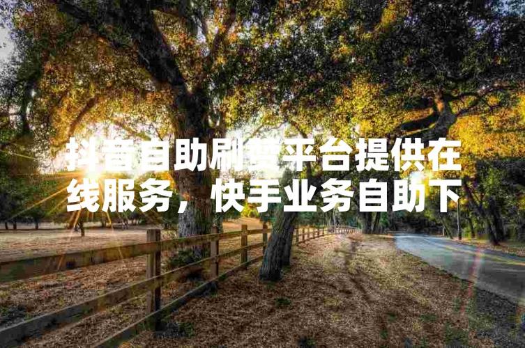 抖音自助下单平台，抖音刷播放与蚂蚁下单服务一网打尽-图2