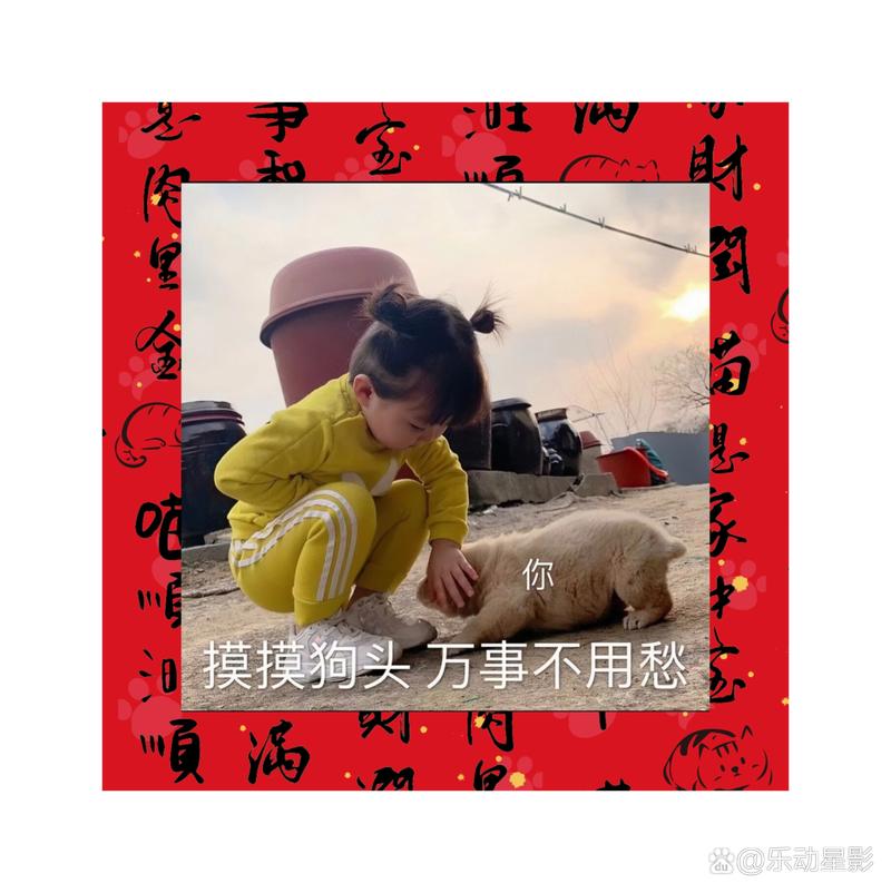 春节宠物互动,温馨狗头摸视频剪辑教程-图3 春节宠物互动,温馨狗头摸视频剪辑教程-图3