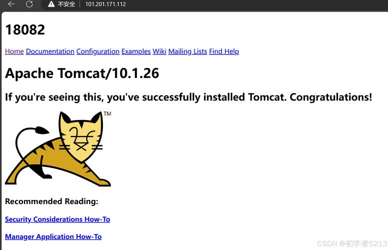 CentOS系统下Tomcat的安装指南-图2