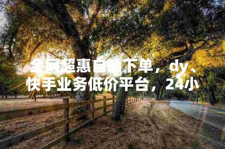 全网最低价涨业务，dy独家优惠网站-图1