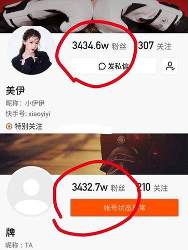 快手播放量下单平台，24小时低价服务推荐-图2