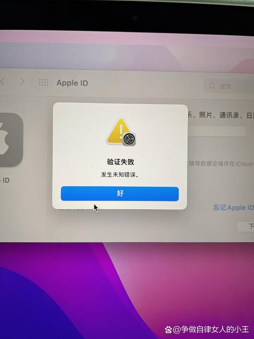 轻松解决苹果设备报错2005，揭秘常见原因及高效修复技巧-图1
