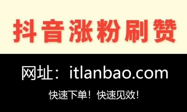 抖音粉丝自助下单平台，24小时在线秒到账服务网址-图2