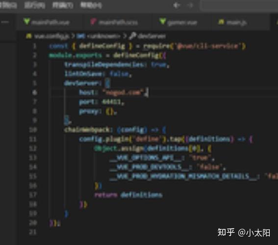 Vue项目下载失败，排查与修复指南-图3