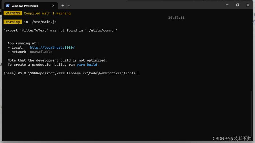 Vue项目下载失败，排查与修复指南-图1