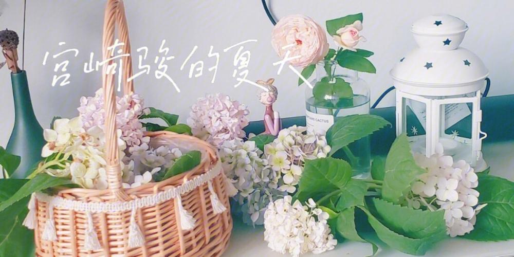 夏日视觉盛宴，打造迷人夏天视频剪辑技巧-图3