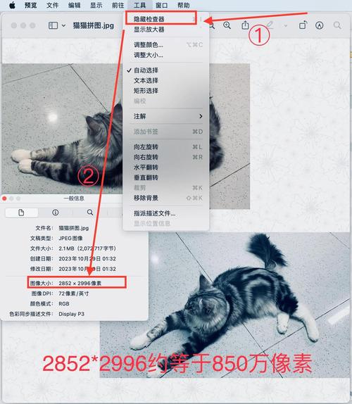 照片像素调整技巧全解析-图1