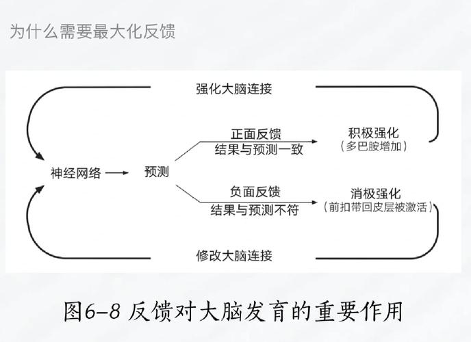 正负反馈识别，评估反馈性质的关键指南-图3