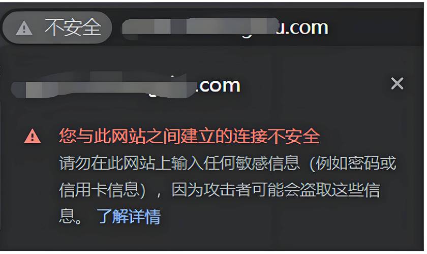 网页登录错误10060，常见原因解析-图1
