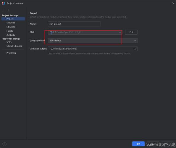 IDE项目导入报错原因解析-图2