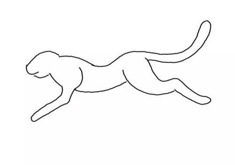 猎豹归家攻略，安全带回家-图3