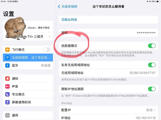 iPad更新报错14，紧急修复攻略解析-图1