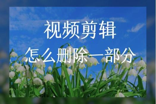 高效去除视频扁线技巧揭秘-图1