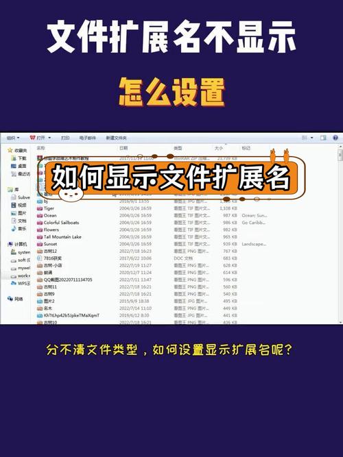 轻松一招，教你如何隐藏文件扩展名-图3