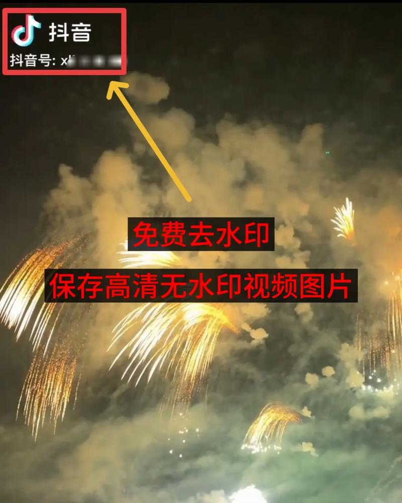 轻松去除视频水印技巧大揭秘-图2 轻松去除视频水印技巧大揭秘-图2