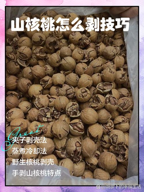 核桃剪辑，大山视频剪辑技巧解析-图1