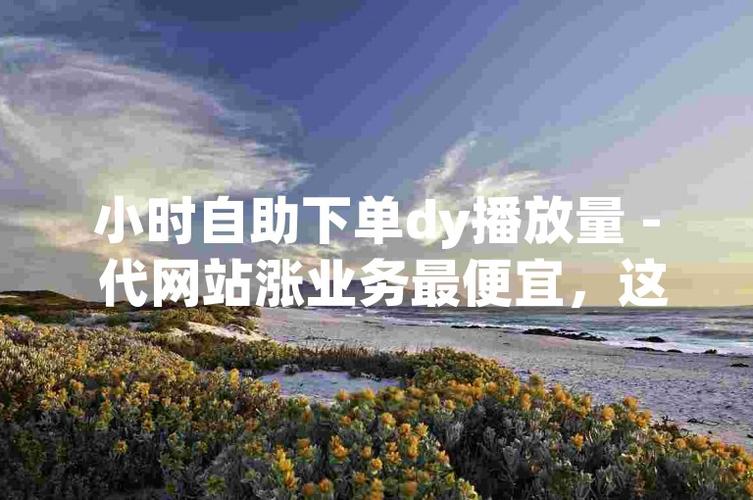 一键下单，热门平台ks/dy人气点赞服务，秒到账体验！-图2