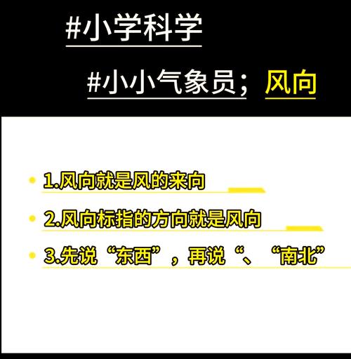 风向剪辑技巧，打造视觉效果出众的视频-图2