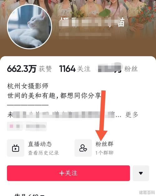 抖音粉丝增长攻略,免费吸粉秘籍-图2 抖音粉丝增长攻略,免费吸粉秘籍-图2