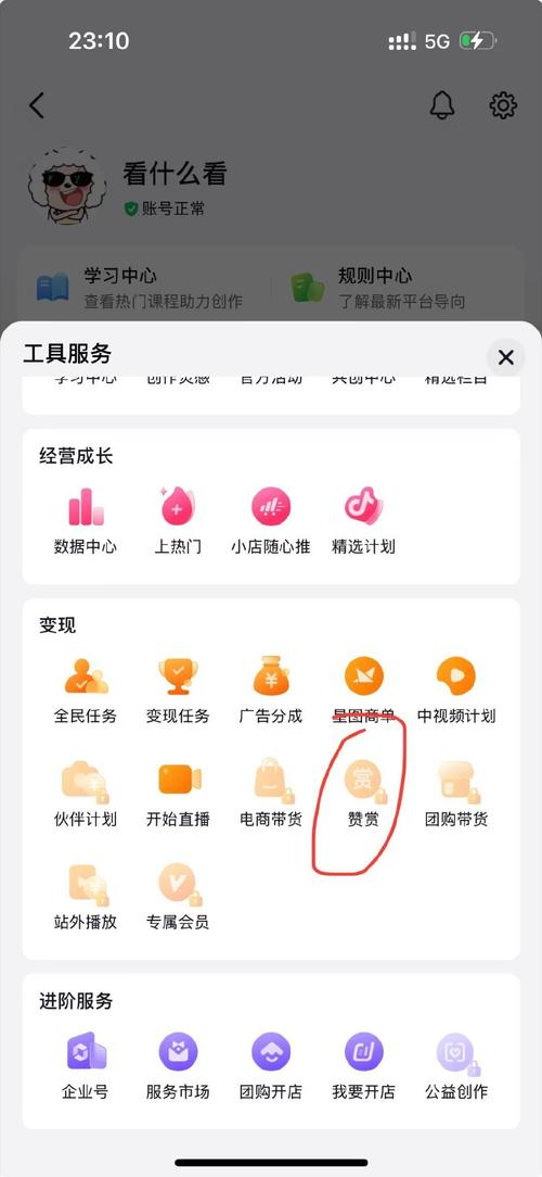 24小时自动下单的Dy粉丝交易平台-图3