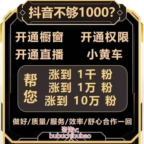 抖音活粉增购，真人粉丝助力涨粉策略-图3