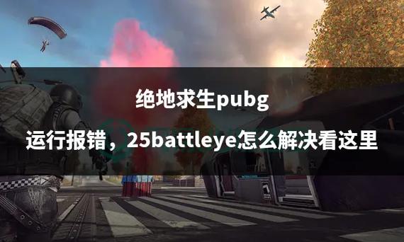 绝地求生报错31故障排查与解决指南-图2