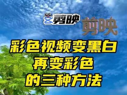 视频人物一键变黑技巧揭秘-图1