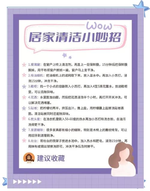 打造洁净家园，家庭清洁的正确方法指南-图2