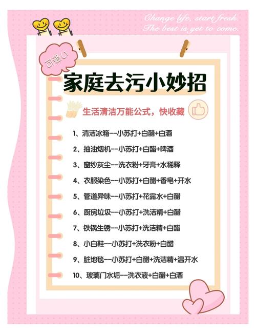 打造洁净家园，家庭清洁的正确方法指南-图3