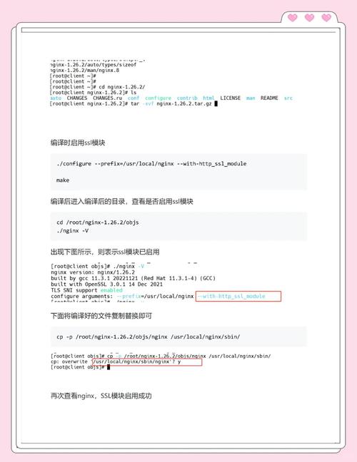 Nginx SSL配置错误排查与解决攻略-图3